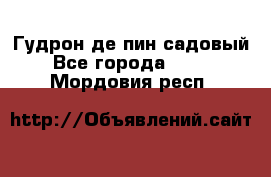 Гудрон де пин садовый - Все города  »    . Мордовия респ.